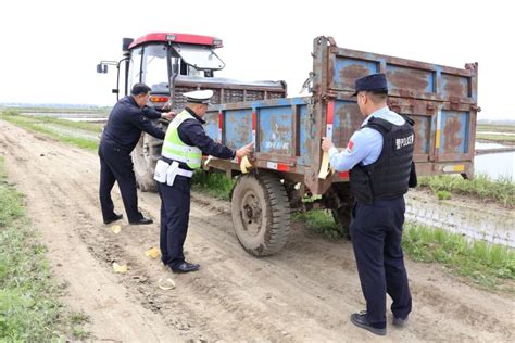 护航春耕｜插秧农忙时 珲春公安交巡警联合多部门到田间地头送安全澎湃号·政务澎湃新闻 The Paper