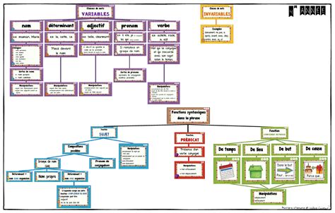 Classes De Mots Et Les Fonctions Syntaxiques Dans La Phrase 4e 5e 6e