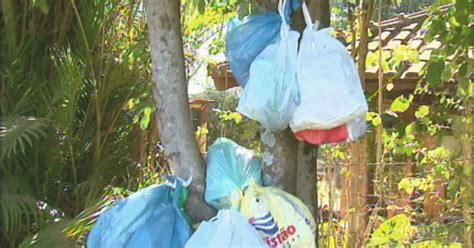 G1 Moradores Reclamam Do Atraso Na Coleta De Lixo Em Bairro De