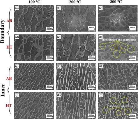 Microstructure Of As Built And Exposed Slm Alsi10mg Specimens A