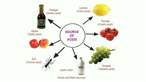 source  acids youtube