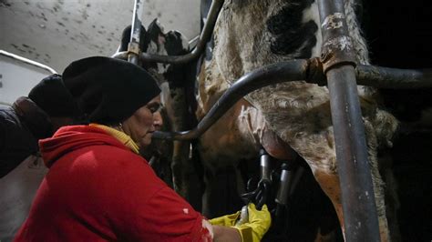 El Duro Relato De Un Tambero Mendocino Que Subsiste En Medio De La