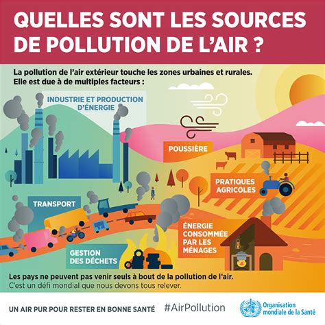 Infographie Quelles Sont Les Causes De La Pollution De L Air The Best