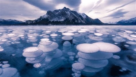 Frozen Bubbles Form In Canadas Abraham Lake TrendRadars