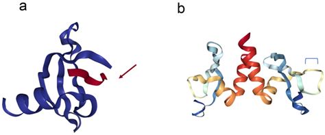 Cells Free Full Text Insights Into Hp A Chromatin Interactions