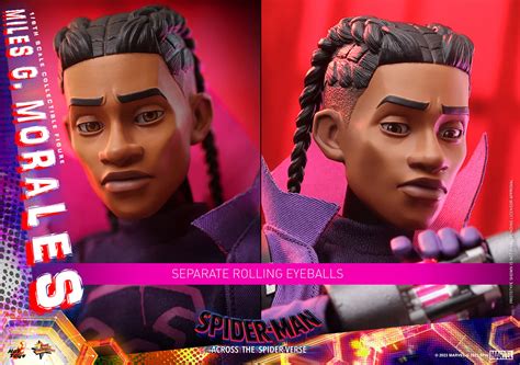 Hot Toys Miles G Morales Sixth Scale Figure Spider Man Limited Collectible Comic Concepts