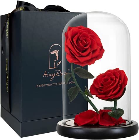 Ainyrose Regalos Para Mujer Rosa Roja Conservada Para Siempre