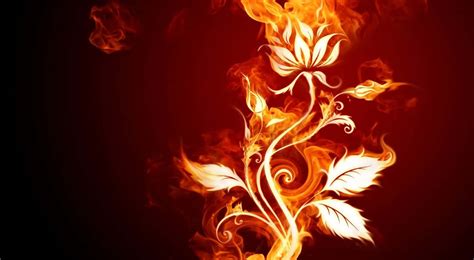 100 Cool Fire Wallpapers