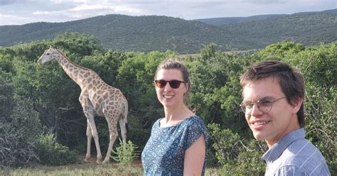 Safari privé d une journée au parc des éléphants d Addo et à la