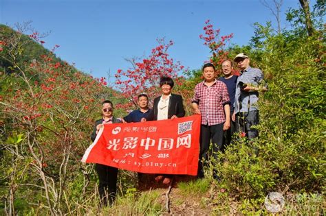 内乡部组织影友到“大块地村红寺河杜鹃岭”采风活动圆满成功 行摄风光 光影中国网 3601nycn Powered By Discuz