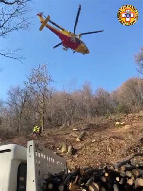 Nel Bresciano Enne Colpito Da Un Tronco Ricoverato Al Civile