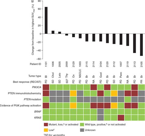 First In Human Phase I Study Of Copanlisib BAY 80 6946 An