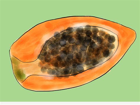 How To Grow Pawpaws 7 Steps With Pictures Wikihow