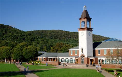 Quinnipiac University Colleges Noodle