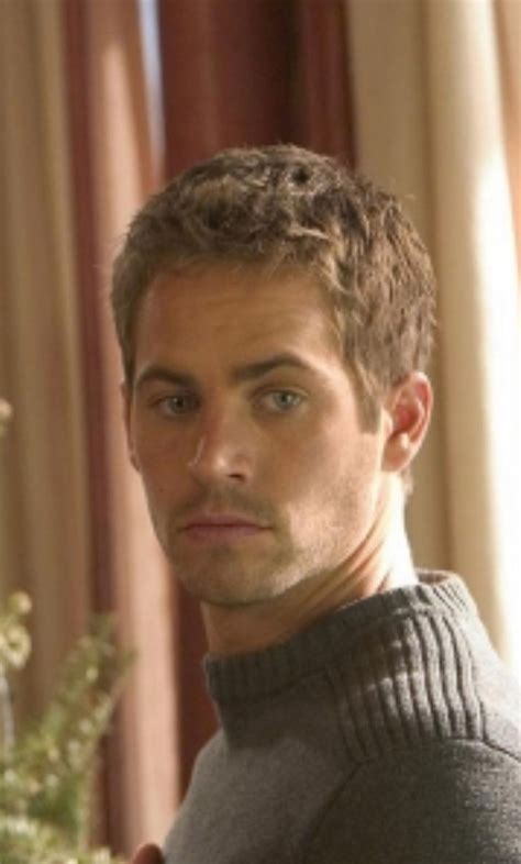 Brian Oconner Actor Paul Walker Paul Walker Pictures Fast And