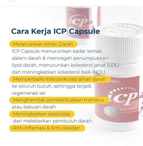 ICP Capsule Herbal Penyumbatan Pembuluh Darah Jantung Dan Stroke