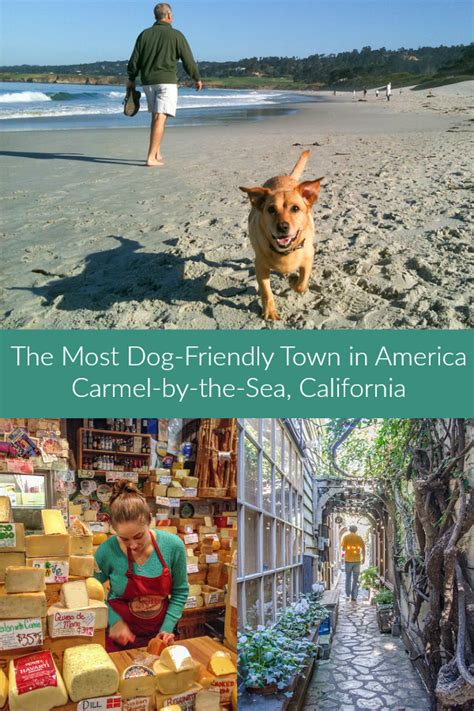 carmel valley dog friendly hotels - Davina Peel