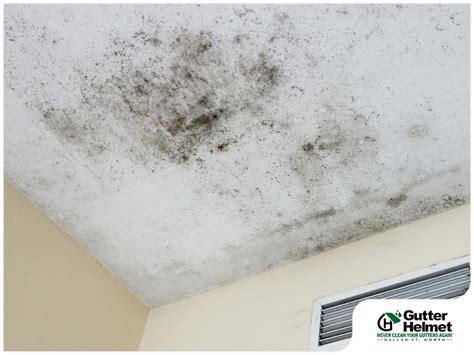 Ways to Prevent Mold and Mildew Growth This Winter