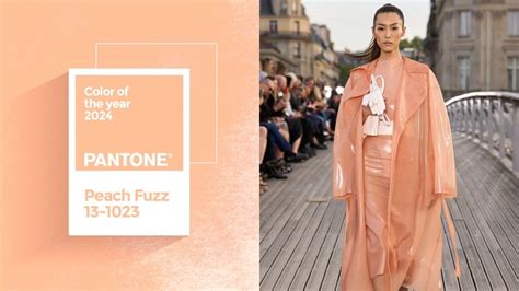 Peach Fuzz a cor do ano da Pantone é a tendência de moda de 2024