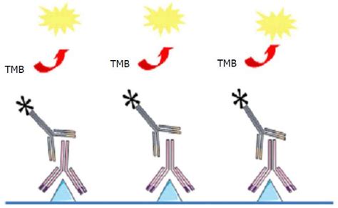 Adalimumab and pharmacokinetics: Impact on the clinical prescription ...