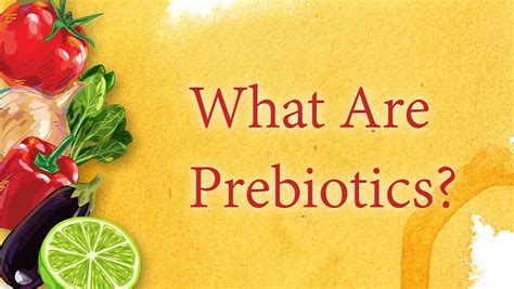 The Benefits Of Prebiotics Youngevity Resource Center