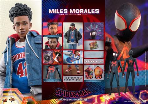 Hot Toys Spider Man Across The Spiderverse Miles Morales Sixth Scale Figure Pre Orders