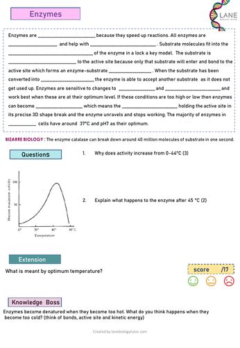 Free Gcse Biology Worksheet On Enzymes Teaching Resources