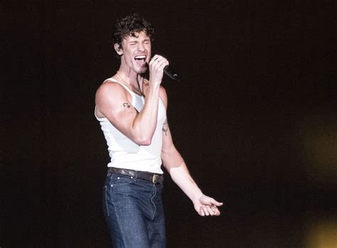 Shawn Mendes Gets Real About Gay Rumors In Surprise New Song QueerBuzzer