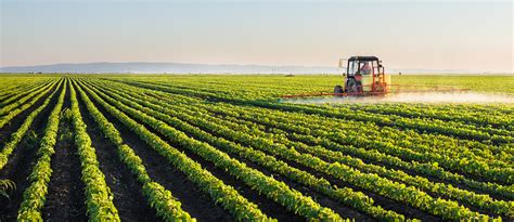 Clarkson Grain Company Clarkson Grain Non Gmo Soybeans For Sale