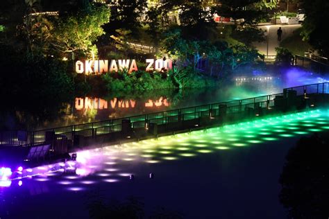 【沖縄こどもの国night Zoo】通年、土日祝日の夜間営業がスタート！ 公益財団法人沖縄こどもの国のプレスリリース