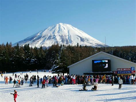 Trải nghiệm trượt tuyết Fujiten Snow Resort Khám phá mùa đông Nhật Bản