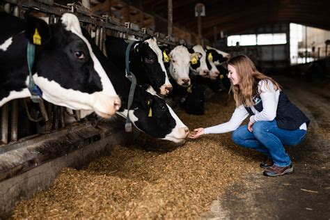 Dairy Innovation Initiative Announces Finalists For The Inaugural