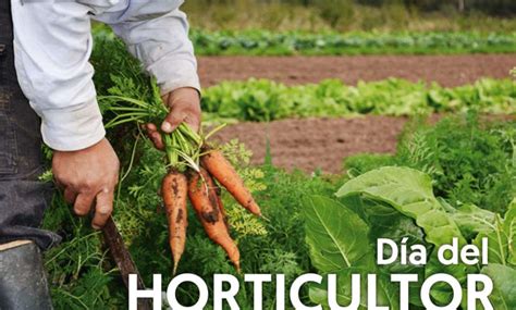 Hoy es el Día del Horticultor Noticias AgroPecuarias