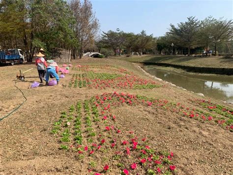 庭園景觀綠美化工程之整體規劃施工及維護 宜倫園藝 │ 綠化服務專家