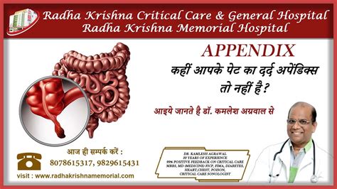 APPENDIX APPENDICITIS YouTube