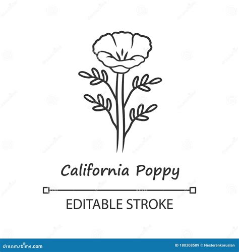 Icone Linéaire De La Californie Rhoeas Papaver Avec Nom Fleur De Maïs