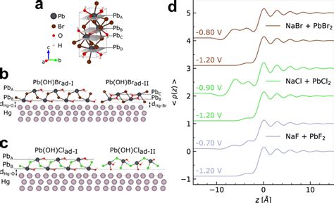 Bulk and interface structure of the PbBr2 and PbCl2 systems a... | Download Scientific Diagram