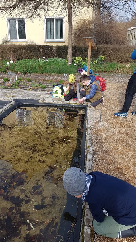 Auf Entdeckertour Mit Den Saalepiraten Naturpark Unteres Saaletal