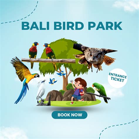 Enter The Avian Wonderland Bali Bird Park Ticket