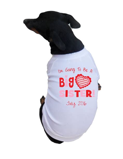 Big Sister Dog Shirts Big Sister To Be With Pink And Red Heart Etsy