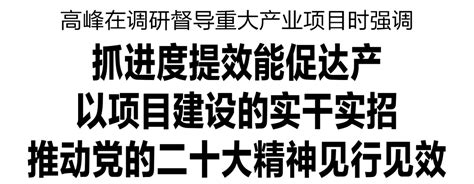 高峰在调研督导重大产业项目时强调：抓进度提效能促达产，以项目建设的实干实招推动党的二十大精神见行见效服务