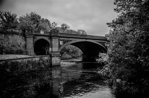 Free Images Reflection Black And White Water Waterway Monochrome