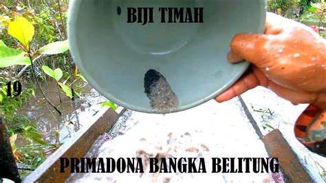 Primadona Bangka Belitung Penambang Timah Part Youtube