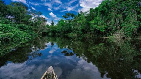 El Amazonas Sus Pueblos Y Las Gentes Que Lo Han Poblado Durante Siglos