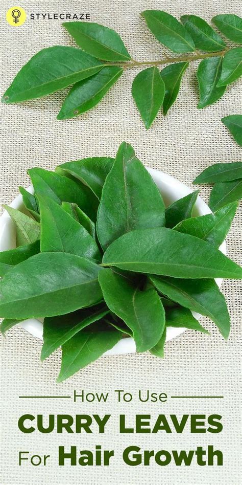 Curry Leaves Are One Of The Best Natural Solutions For Hair Fall And