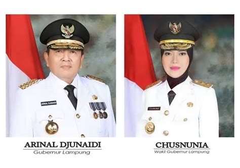 Arinal Djunaidi Dan Chusnunia Chalim Sang Perubahan Untuk Provinsi