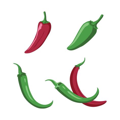 Red Green Hot Spicy Chili Pepper Vegetable Vector Art At Vecteezy