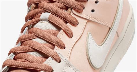 Nike SB Dunk Low Pro Crimson Tint And Amber Brown FV5926 200