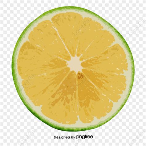 Vector Blue Lemon Slices Lime Orange Fruit Green Lemon Slices Png Image