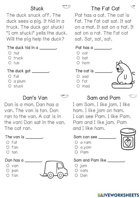 Reading Comprehension 11 Worksheet Worksheet Live Worksheets